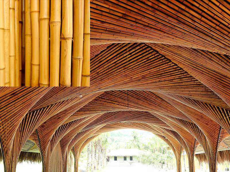 material ecoloógico construcción bambu